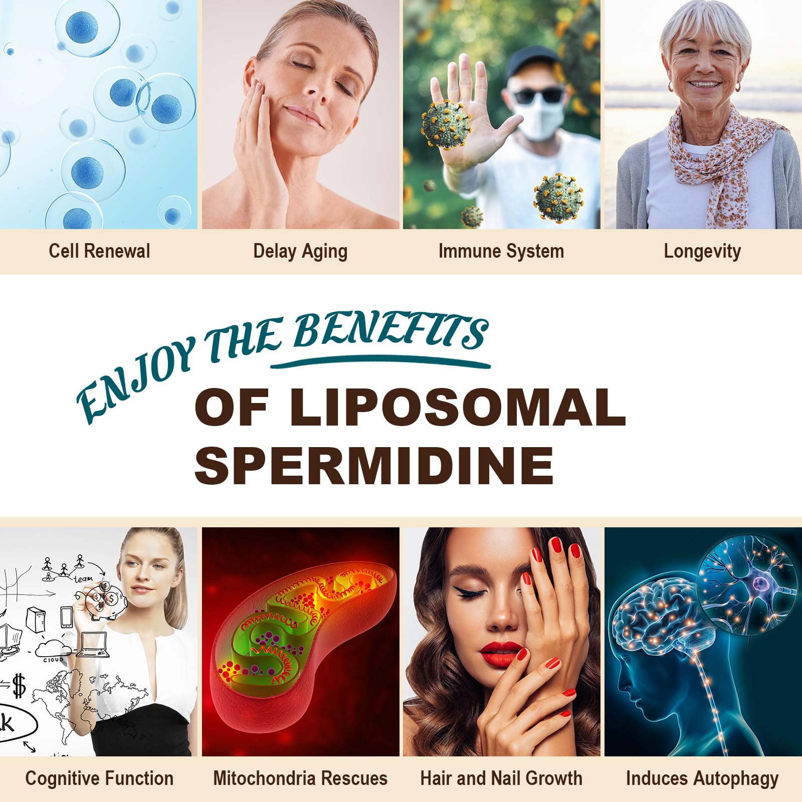 Sohahila Liposomal Spermidine Softgels displayed with other supplements