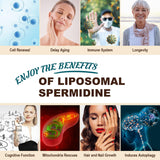 Sohahila Liposomal Spermidine Softgels displayed with other supplements
