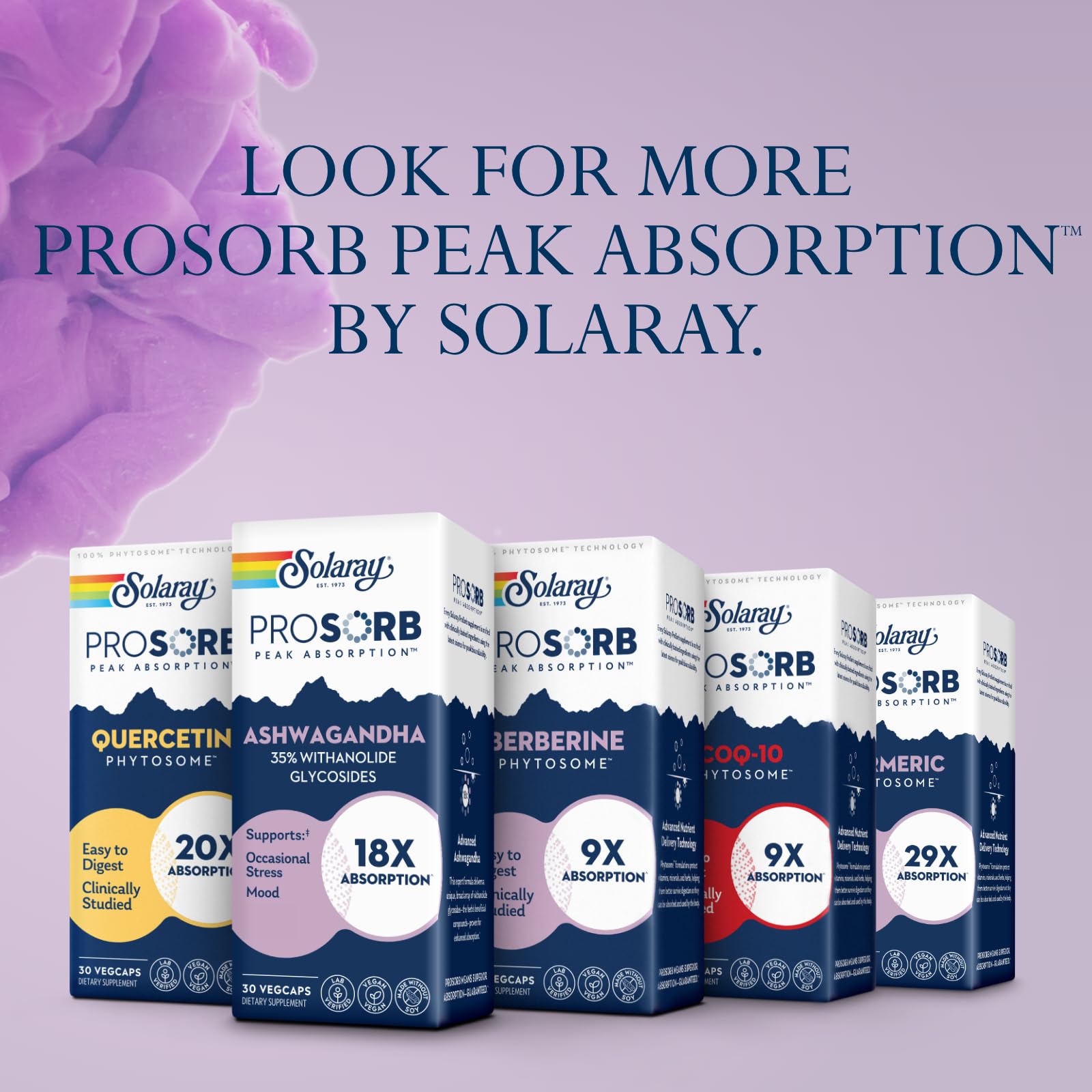 SOLARAY Ashwagandha Capsules packaging and label details