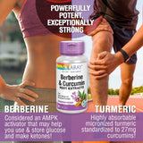 SOLARAY Berberine & Curcumin Capsules 300mg back view