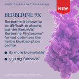 SOLARAY Berberine Supplement 550mg ProSorb Phytosome capsules close-up