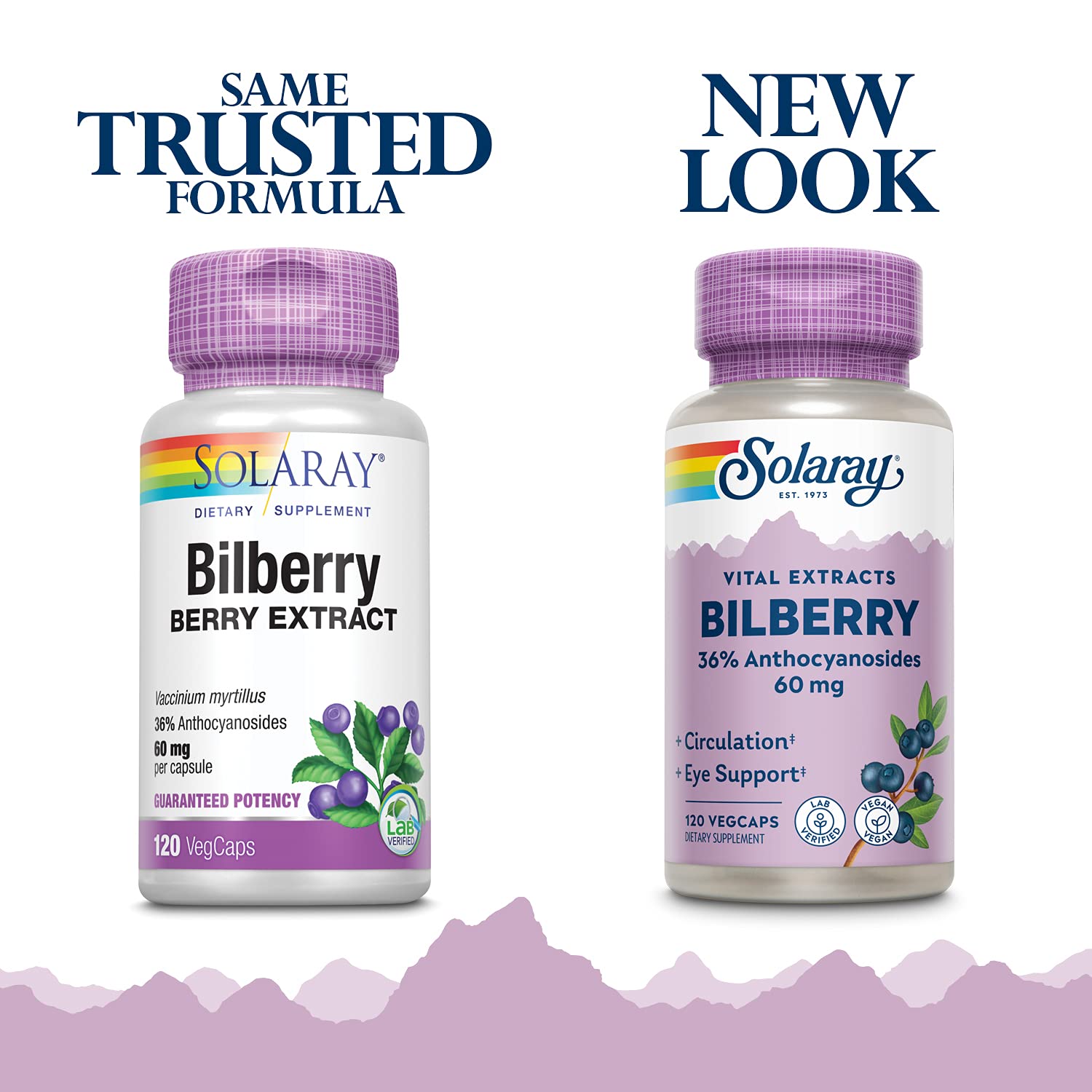 SOLARAY Bilberry Extract bottle side view
