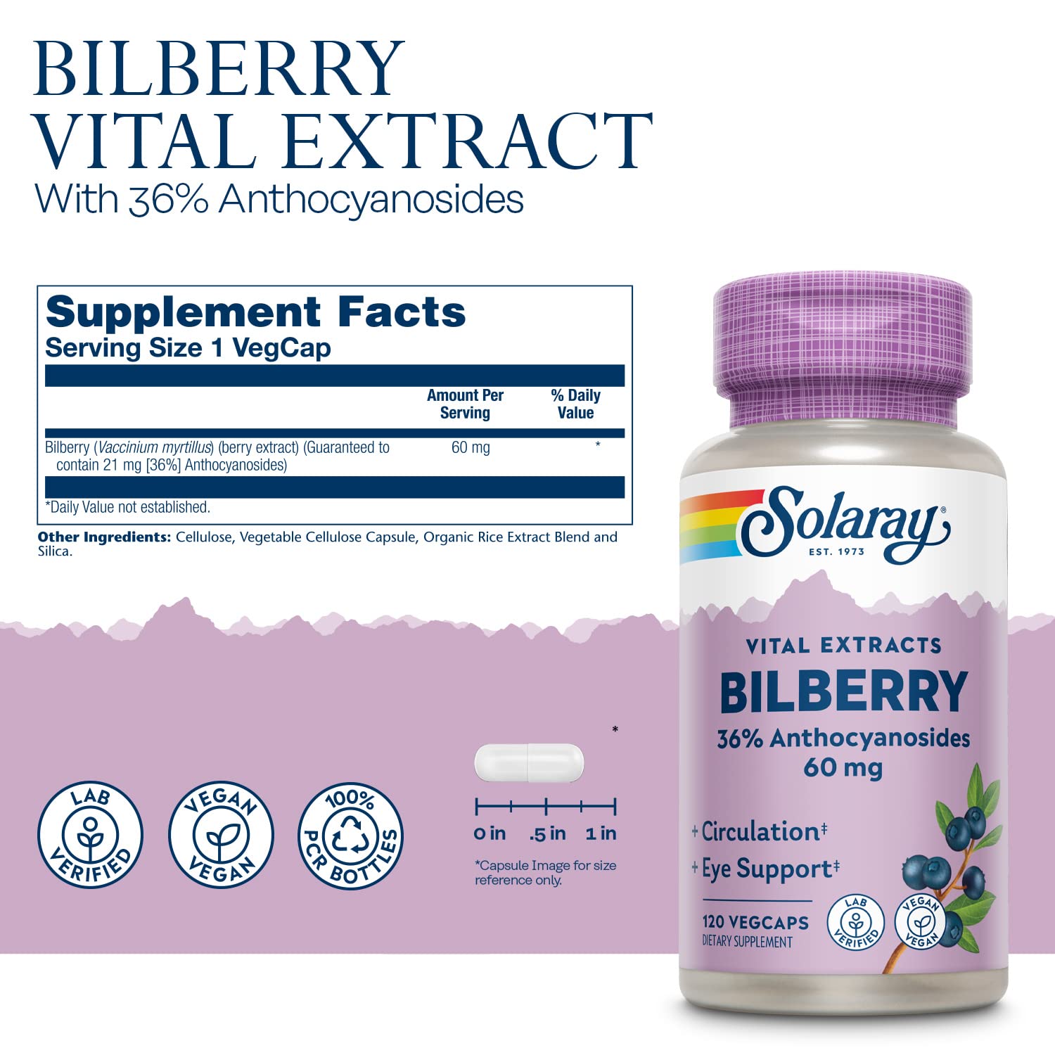 SOLARAY Bilberry Extract capsules on a wooden table