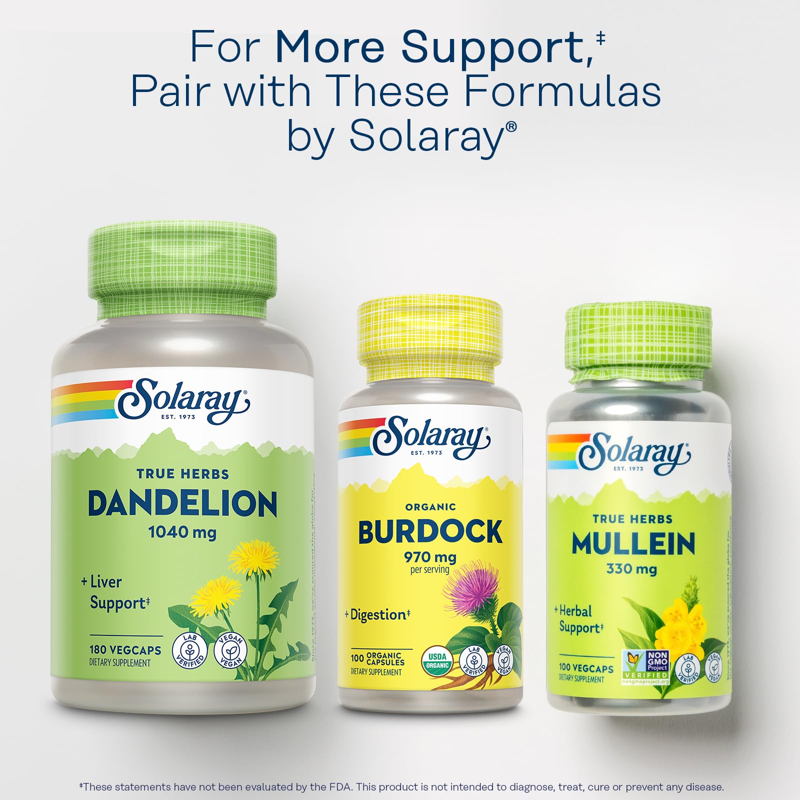 SOLARAY Burdock Root Capsules 970mg in a lifestyle setting