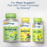 SOLARAY Burdock Root Capsules 970mg in a lifestyle setting