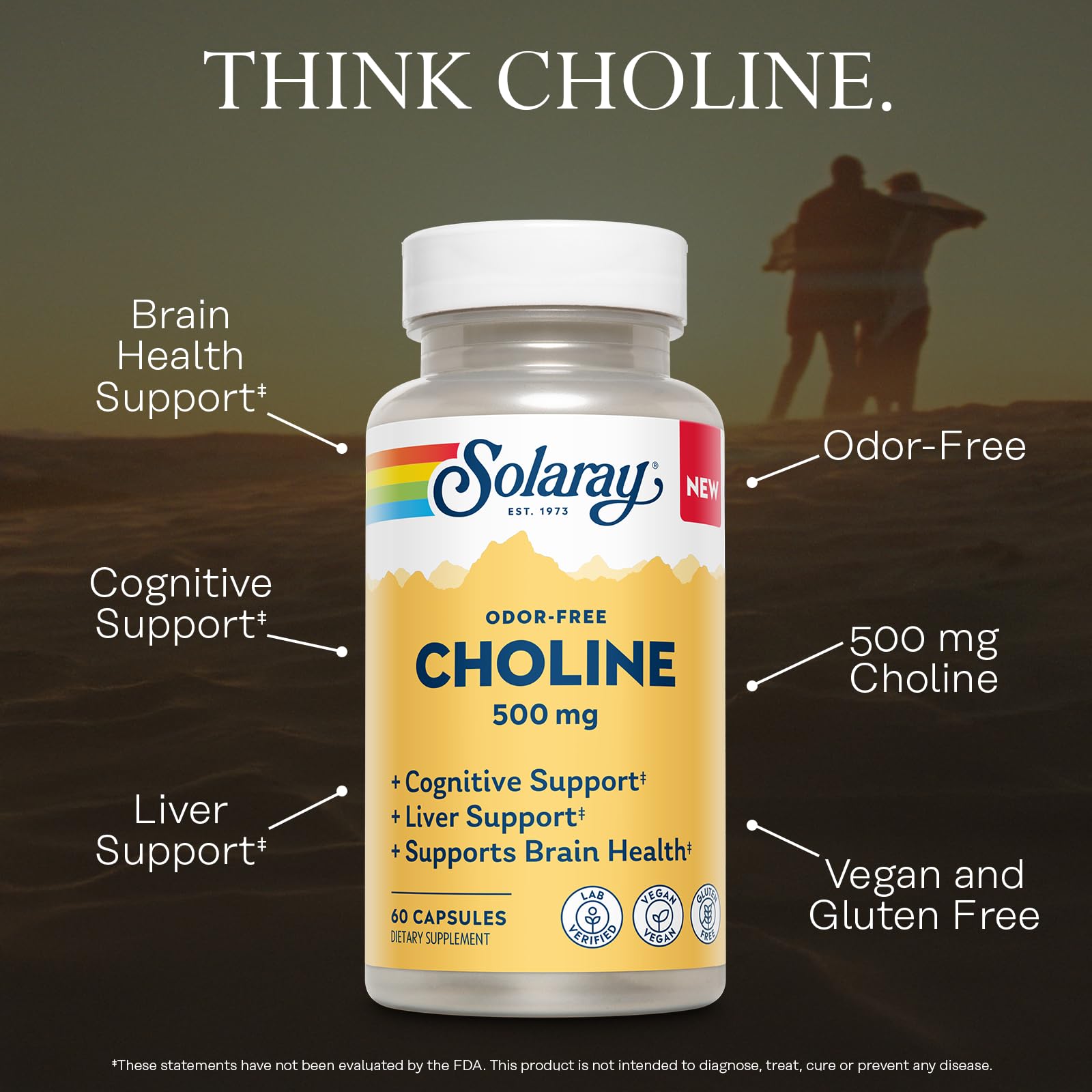 SOLARAY Choline 500mg vegan capsules packaging