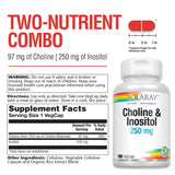 SOLARAY Choline & Inositol Supplement 109g capsule close-up