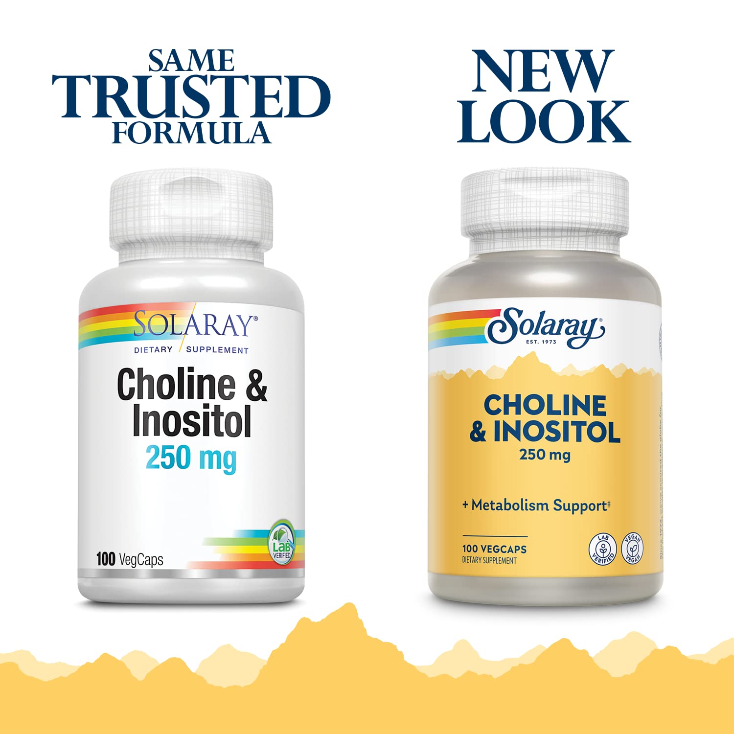 SOLARAY Choline & Inositol Supplement 109g side view