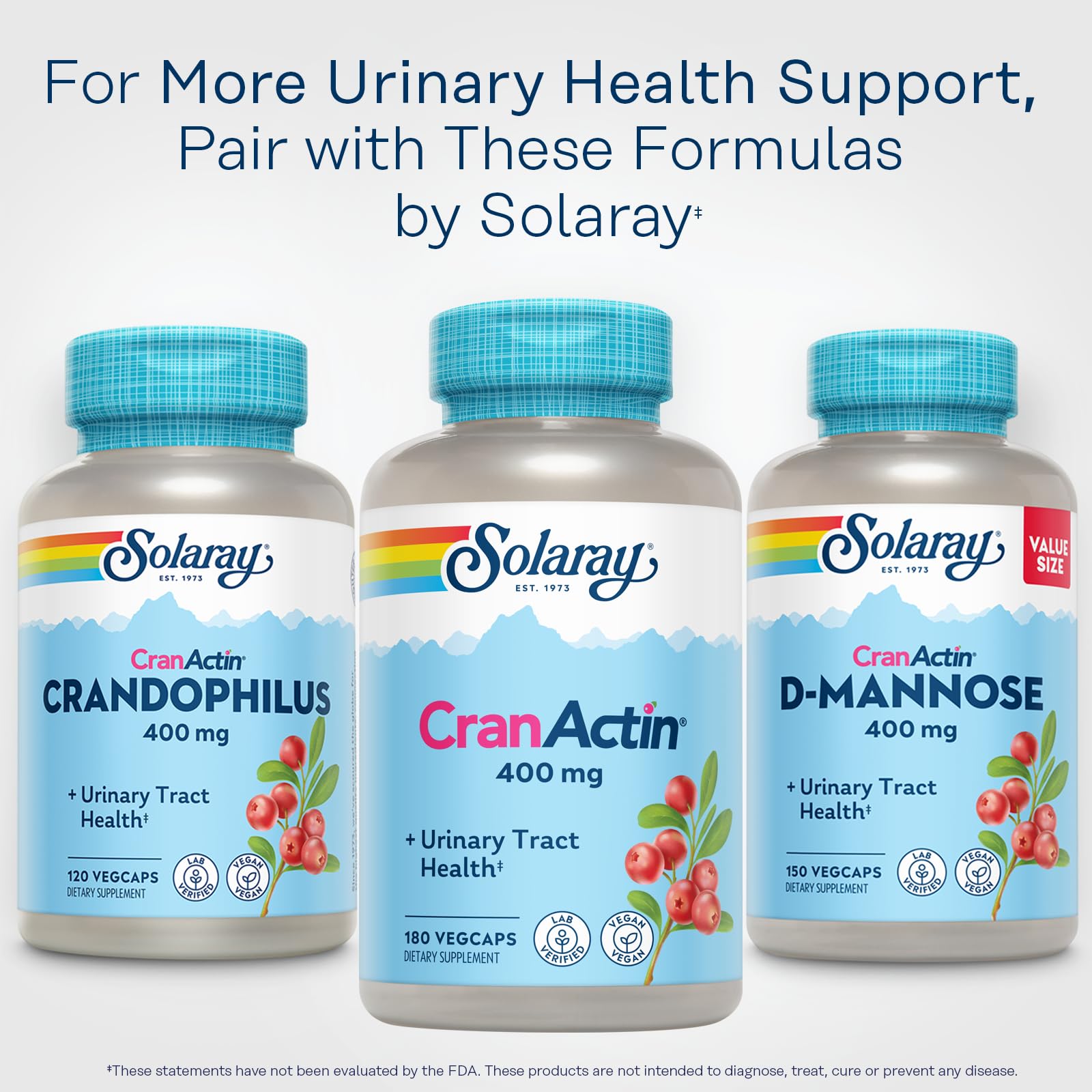 SOLARAY Cranberry Dietary Supplement 172g back view