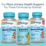 SOLARAY Cranberry Dietary Supplement 172g on a wooden table
