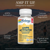 SOLARAY Dihydro-Berberine Supplement label close-up
