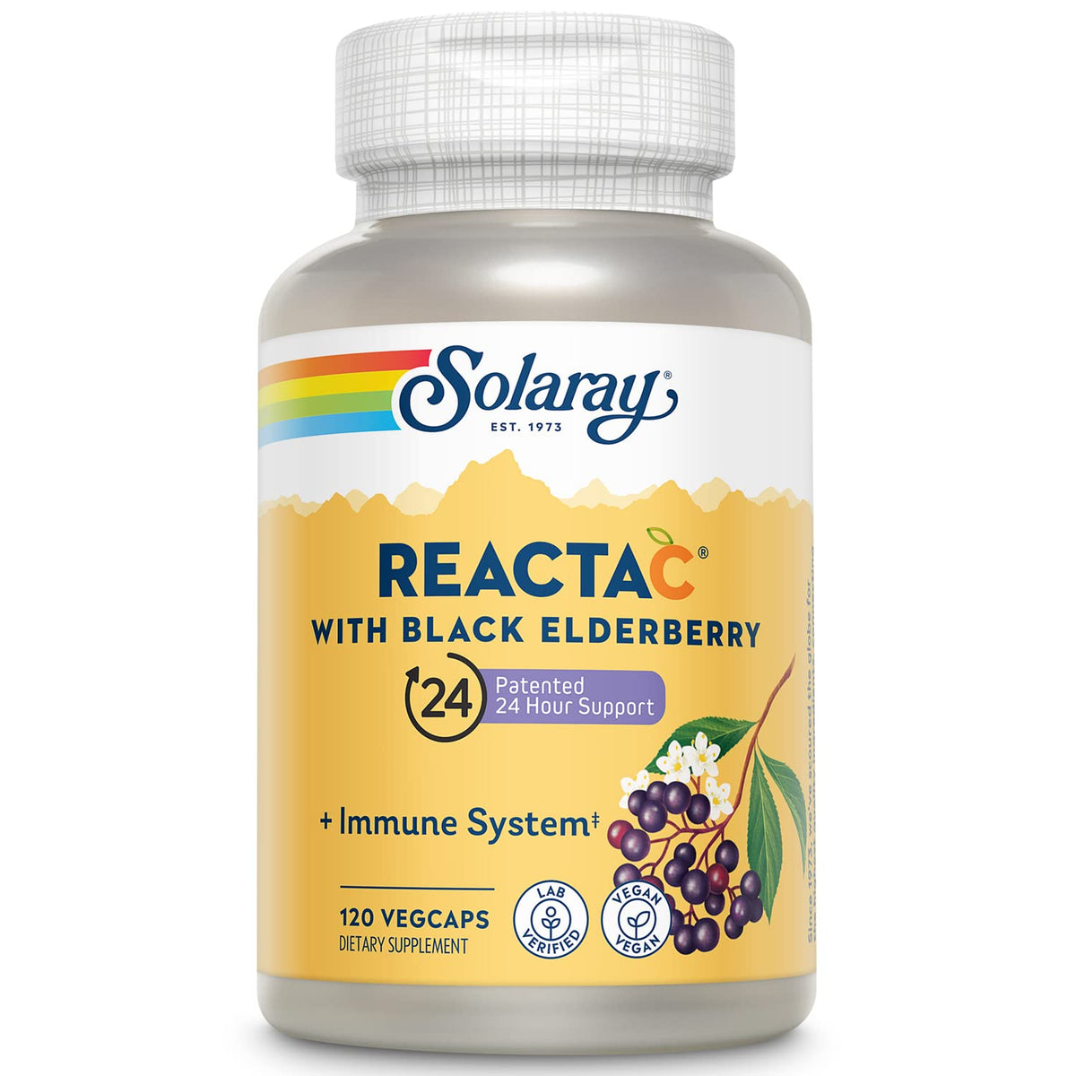SOLARAY Elderberry Supplement 200mg Vitamin C complex front view