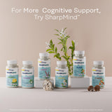 SOLARAY Ginkgo Biloba Capsules close-up of capsules