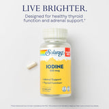 SOLARAY Iodine Supplement 145g back view with dosage information