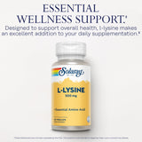 SOLARAY L-Lysine 500mg supplement back view with ingredient list