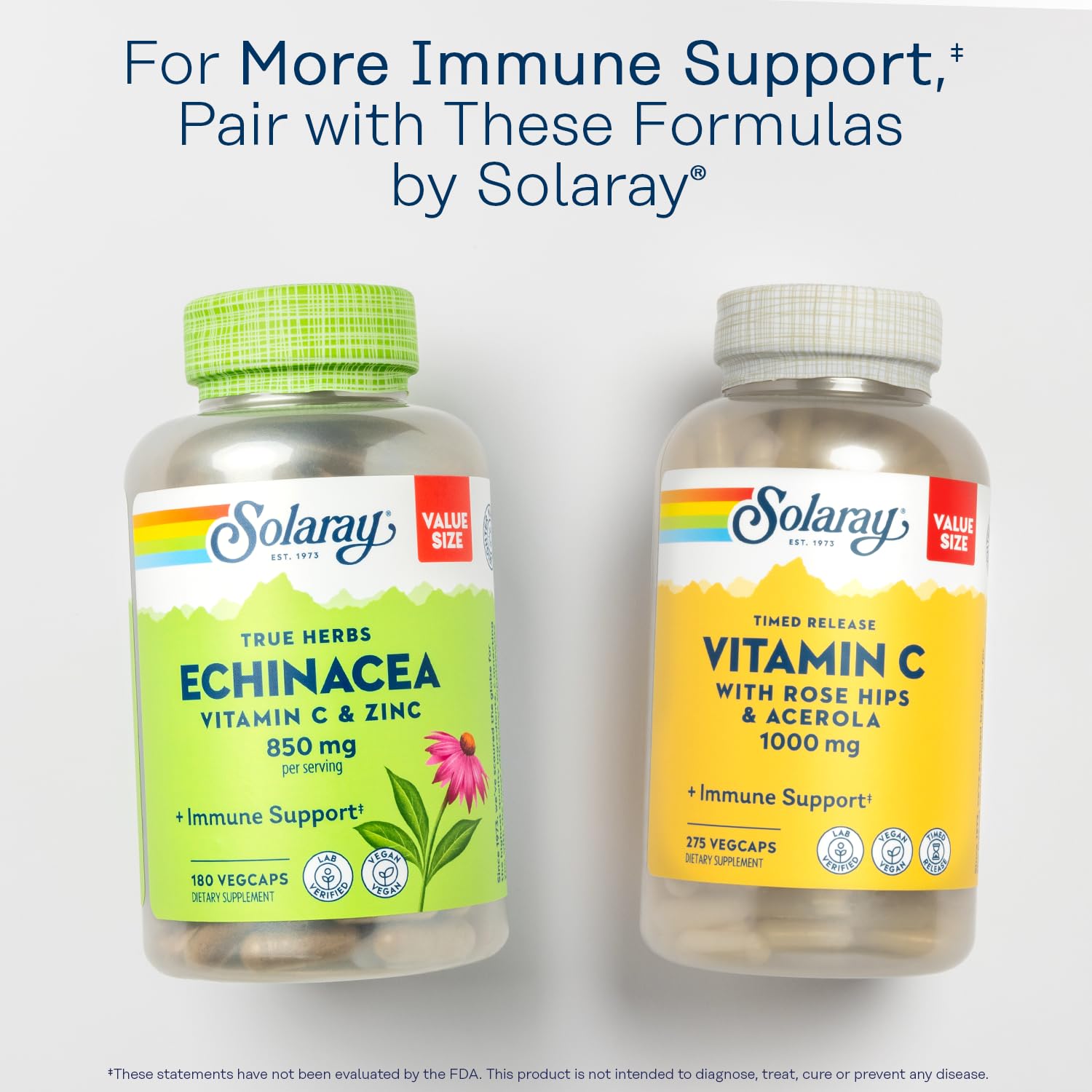 SOLARAY L-Lysine Supplement 230g powder back view