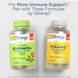 SOLARAY L-Lysine Supplement 230g powder back view