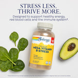 SOLARAY Mega Vitamin B-Stress B-Complex 340g back view