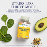 SOLARAY Mega Vitamin B-Stress side view bottle