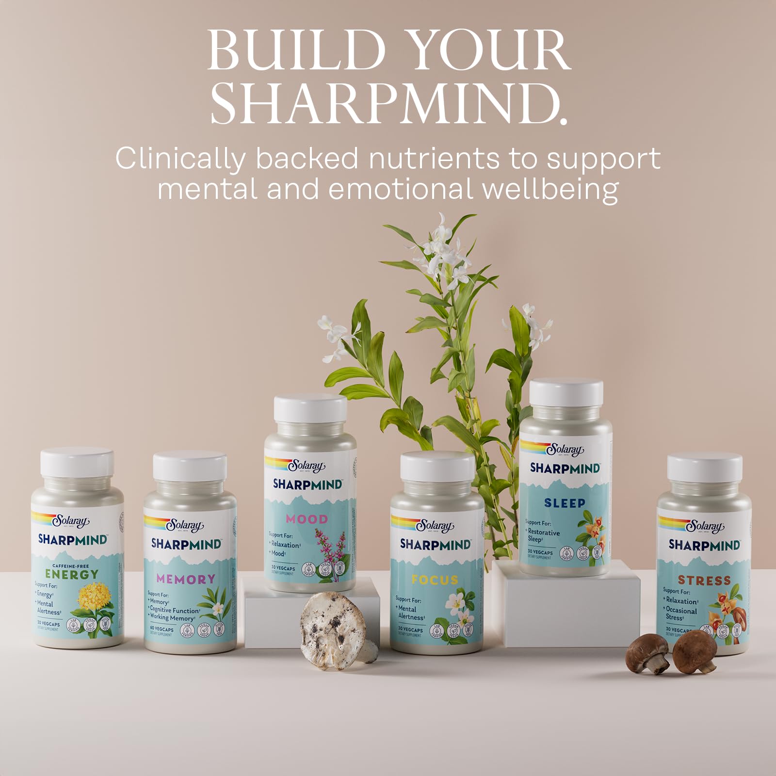 SOLARAY Melatonin 3mg Supplement on a wooden table