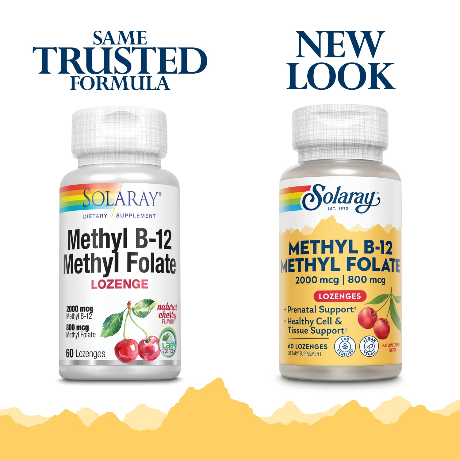 SOLARAY Methyl B-12 Methyl Folate Cherry packaging with ingredients list