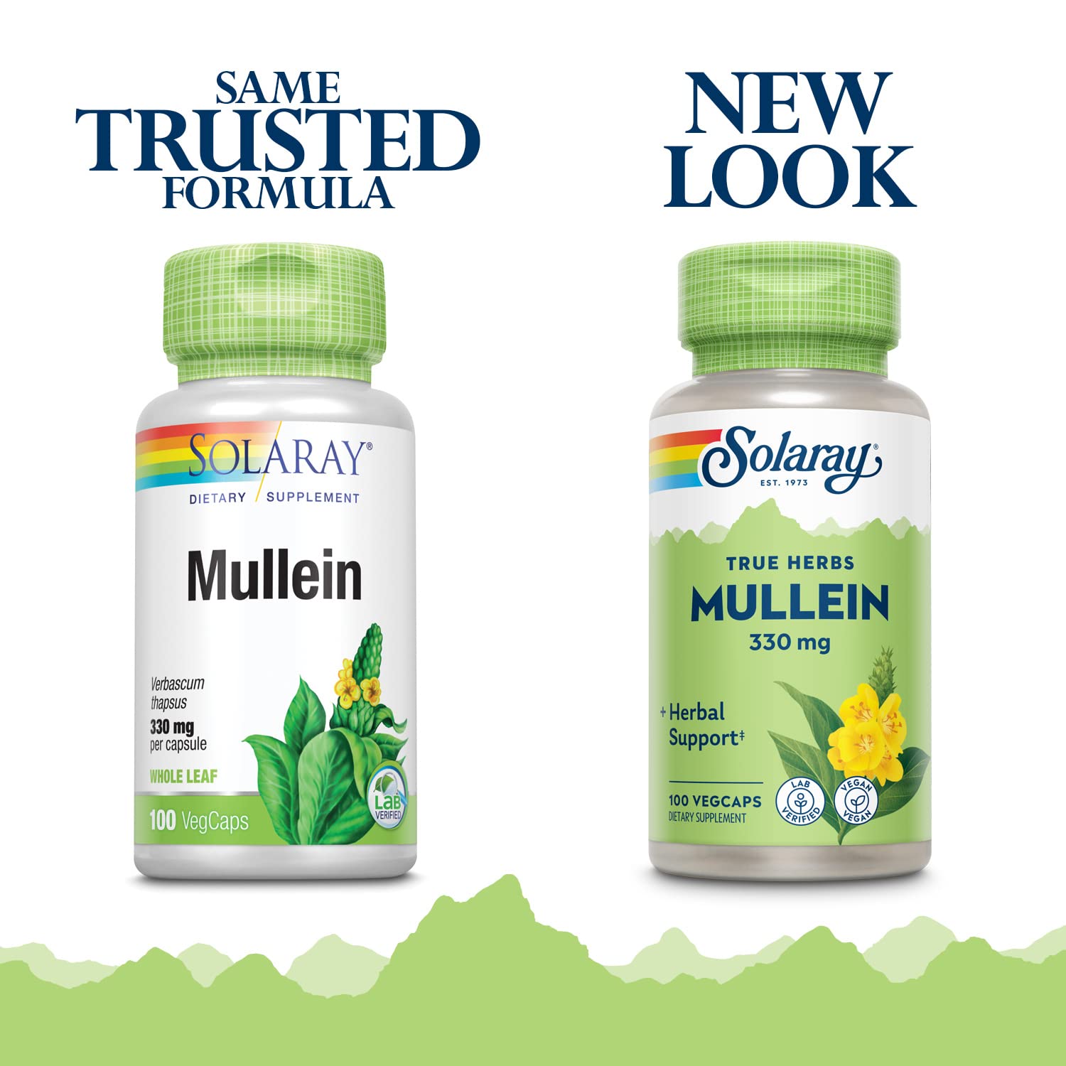 SOLARAY Mullein Leaf Capsules with a measuring spoon and natural background