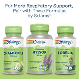SOLARAY Mullein Leaf Capsules with a plant in the background