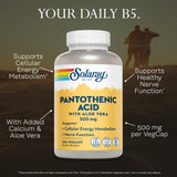 SOLARAY Pantothenic Acid 500mg VegCaps close-up