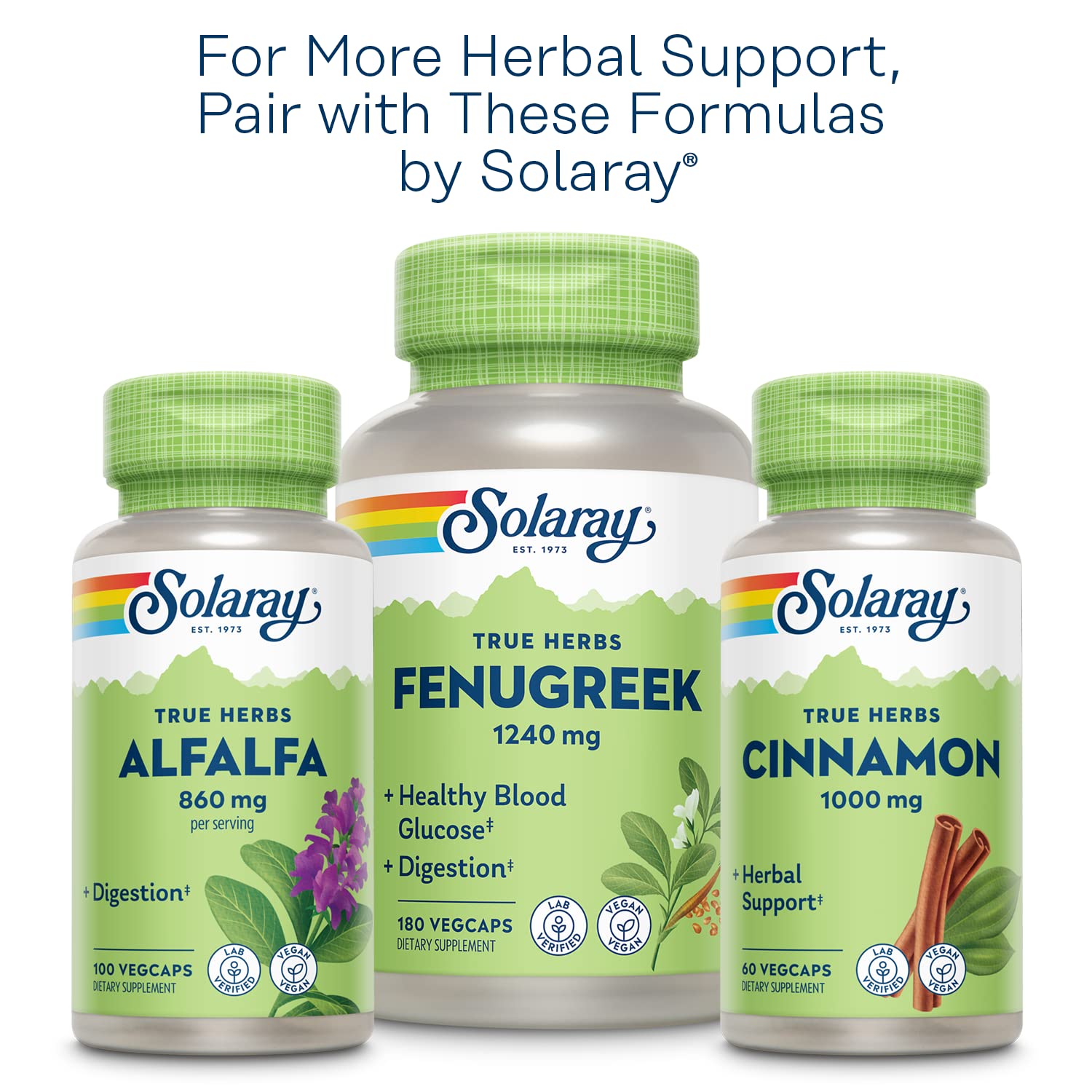 SOLARAY Prickly Pear Cactus Supplement 500mg on a wooden surface