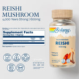 SOLARAY Reishi Mushroom Supplement 95g side view