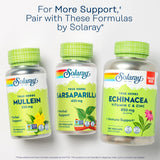 SOLARAY Sarsaparilla Root Capsules 500mg with bottle details