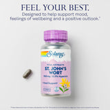 SOLARAY St. John's Wort 900mg supplement back view with ingredients