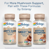 SOLARAY Turkey Tail Mushroom Capsules lifestyle scene with greenery