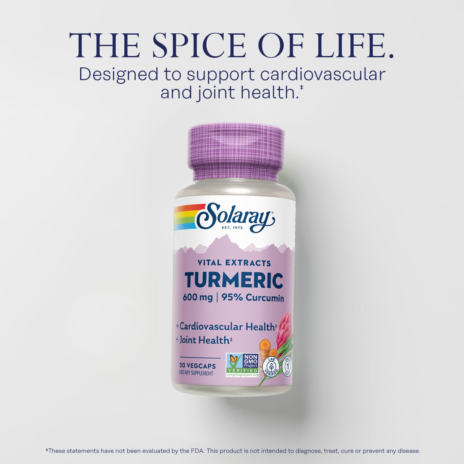 SOLARAY Turmeric Curcumin Supplement 600mg bottle with label