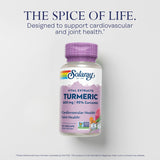 SOLARAY Turmeric Curcumin Supplement 600mg bottle with label