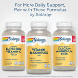 SOLARAY Vitamin B Complex 100 bottle with solar panels in background