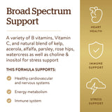 Solgar B-Complex with Vitamin C 369g capsules in a bowl