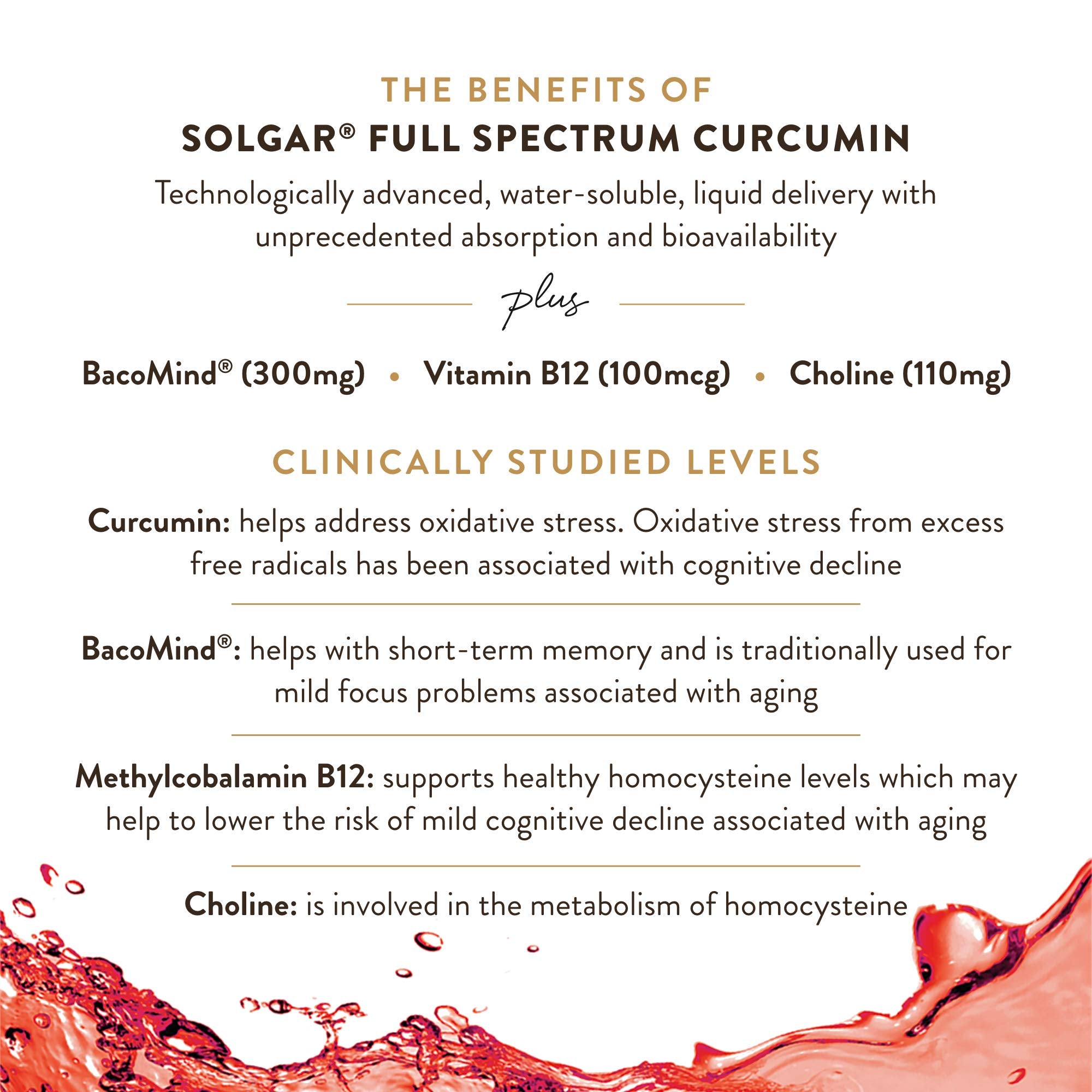 Solgar Brain Works Curcumin Supplement packaging