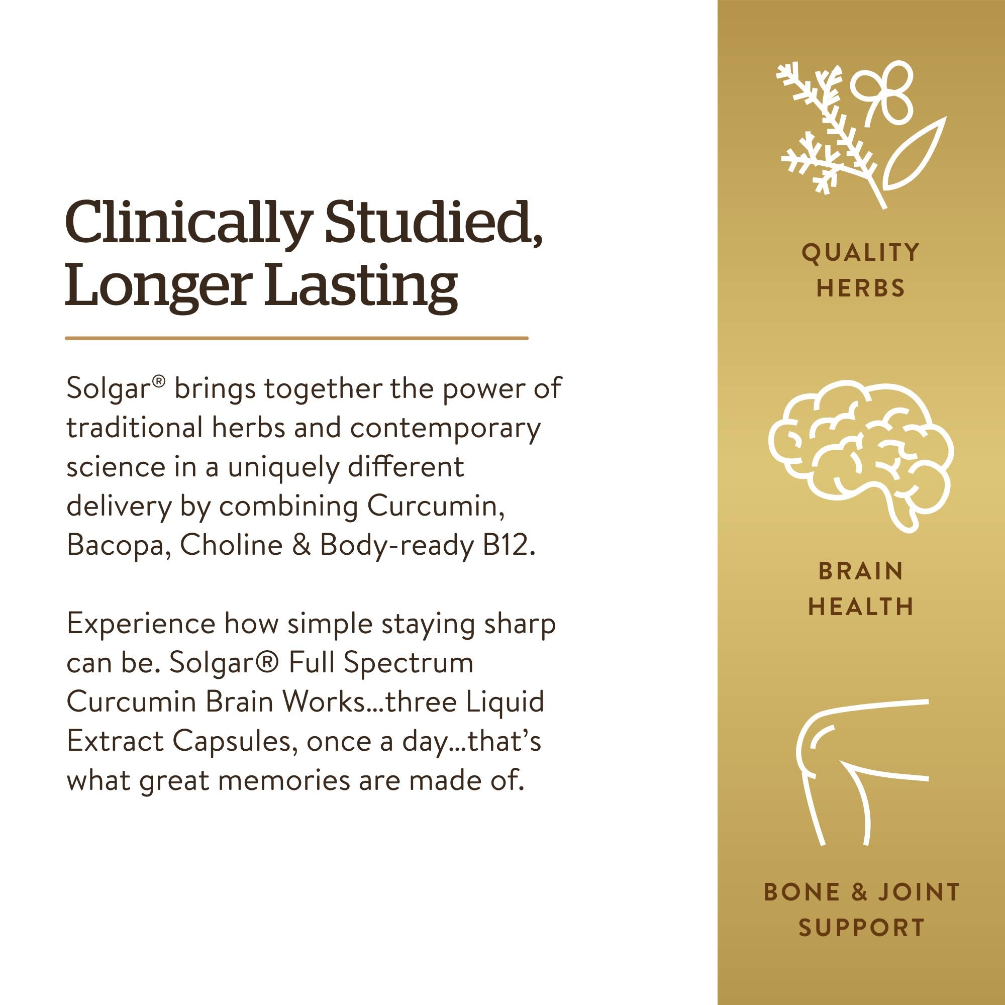 Solgar Brain Works Curcumin Supplement with a measuring spoon