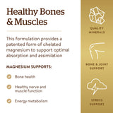 Solgar Chelated Magnesium 481g packaging