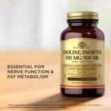 Solgar Choline/Inositol Supplement 508g capsules close-up