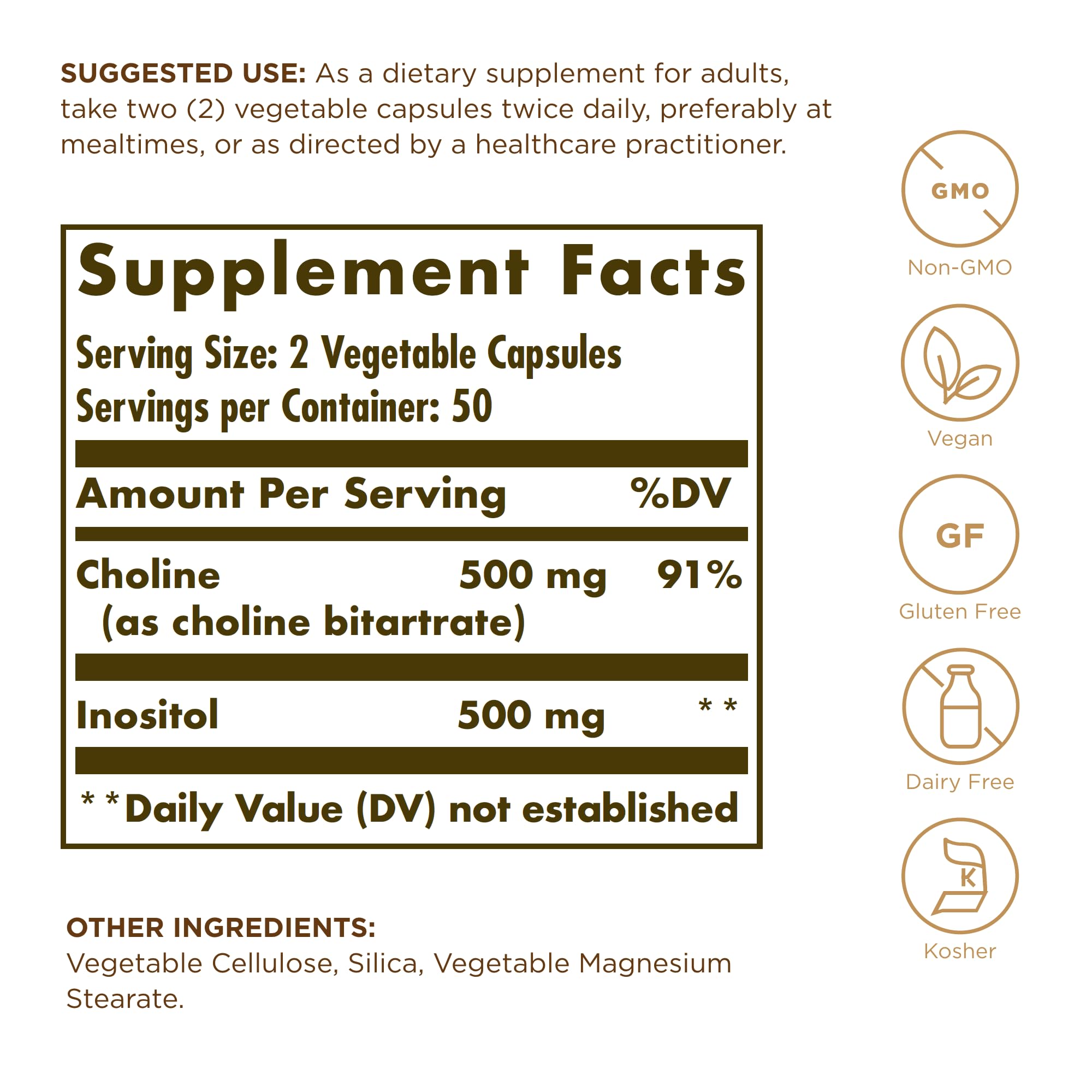 Solgar Choline/Inositol Supplement 508g side view