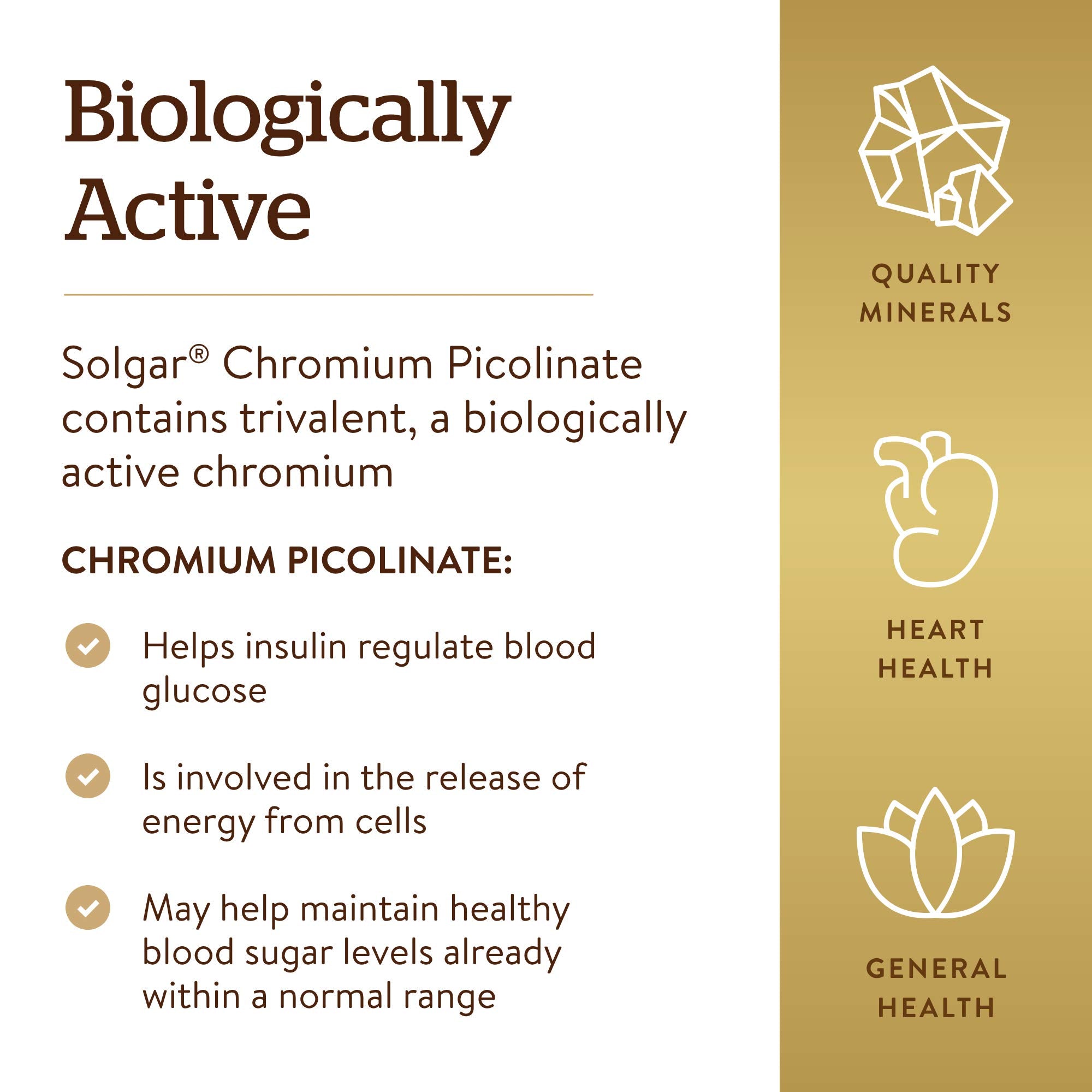 Solgar Chromium Picolinate 227g packaging on a wooden table