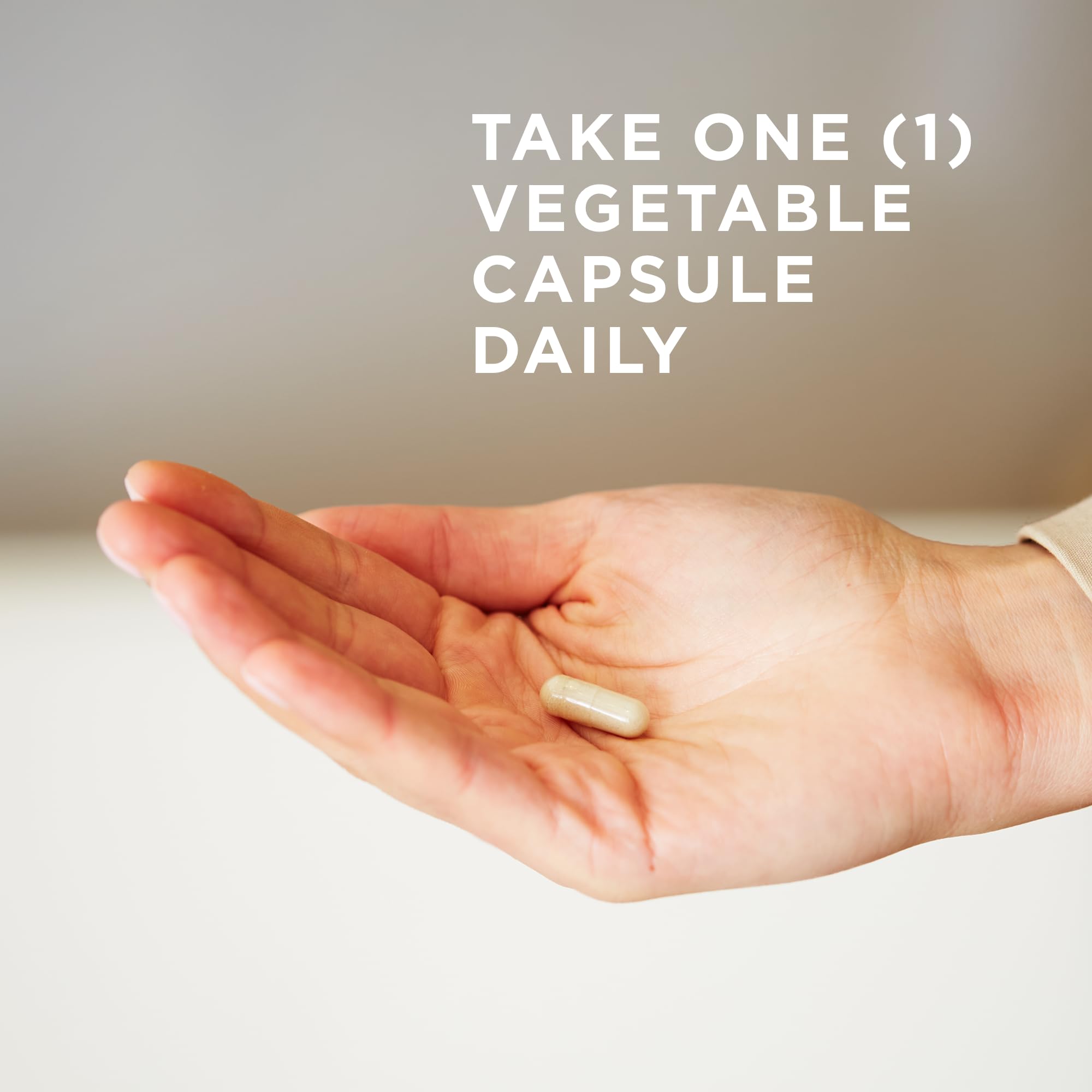 Solgar Gentle Iron Vegetable Capsules back view with ingredient list