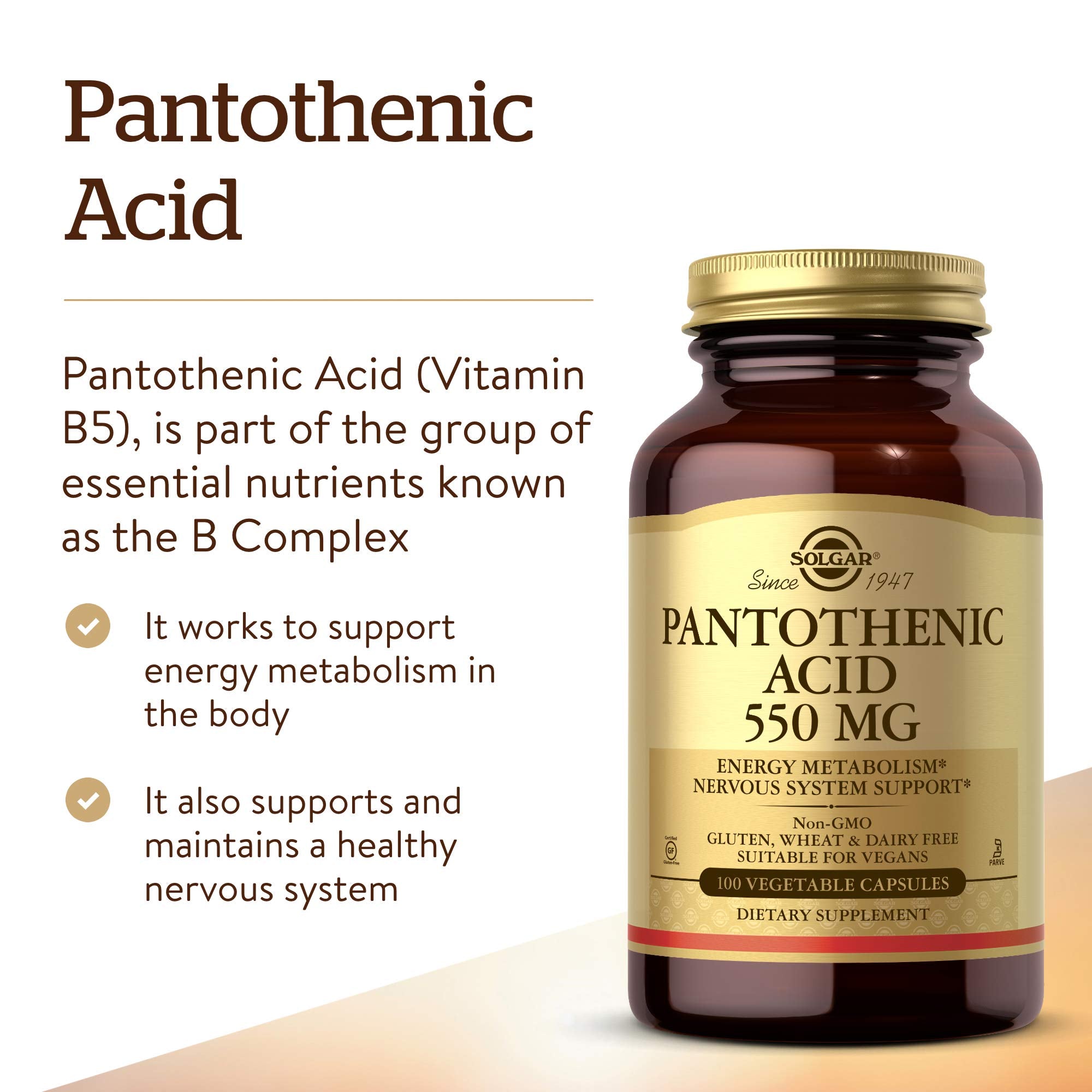 Solgar Pantothenic Acid B5 254g packaging