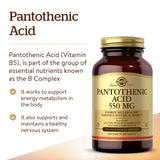 Solgar Pantothenic Acid B5 254g packaging
