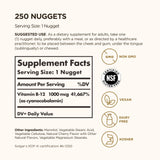 Solgar Sublingual Vitamin B12 1000 mcg Nuggets close-up of nuggets