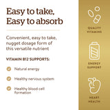 Solgar Sublingual Vitamin B12 1000 mcg Nuggets with cherry flavour description