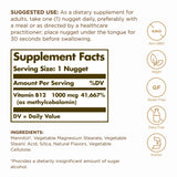 Solgar Vitamin B12 Methylcobalamin 1000 mcg sublingual nuggets close-up