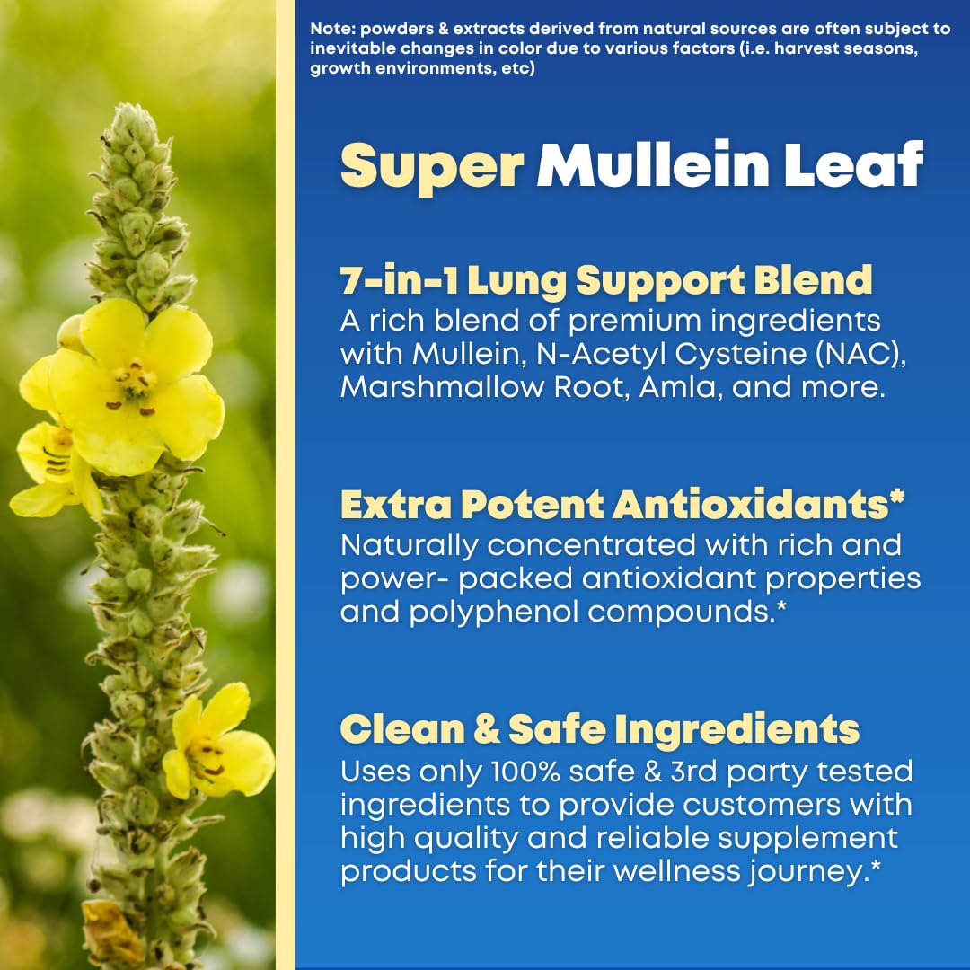 SOLNUVI Mullein & NAC Lung Health Support Supplement bottle side view